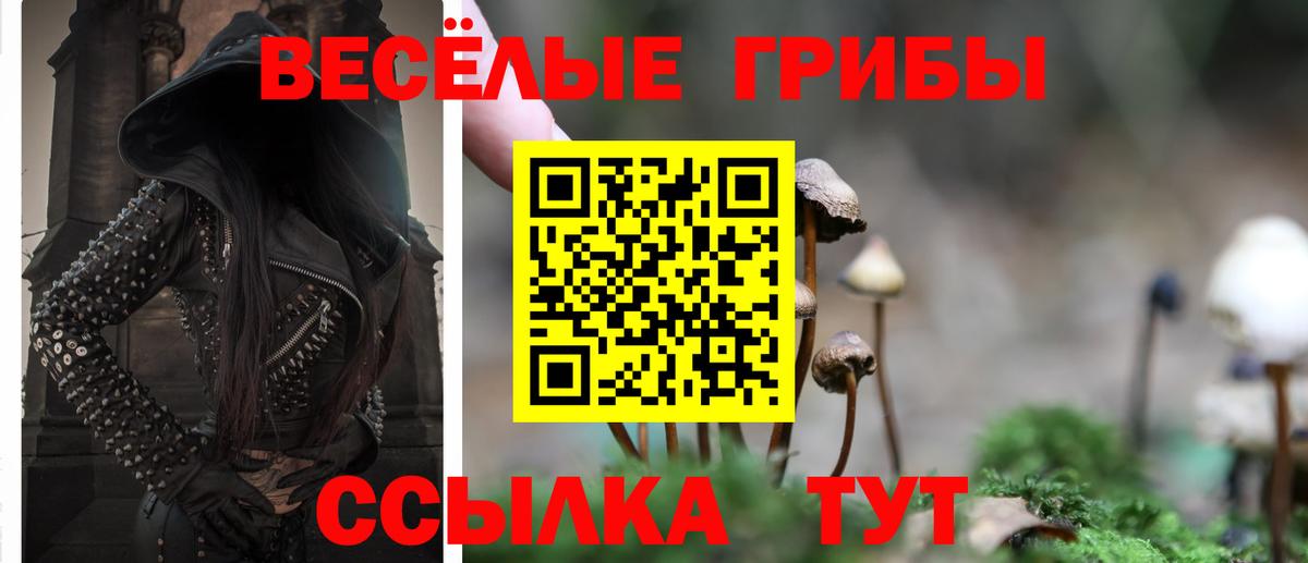 Северобайкальск  Галлюциногенные грибы Psilocybe  Вход с VPN 